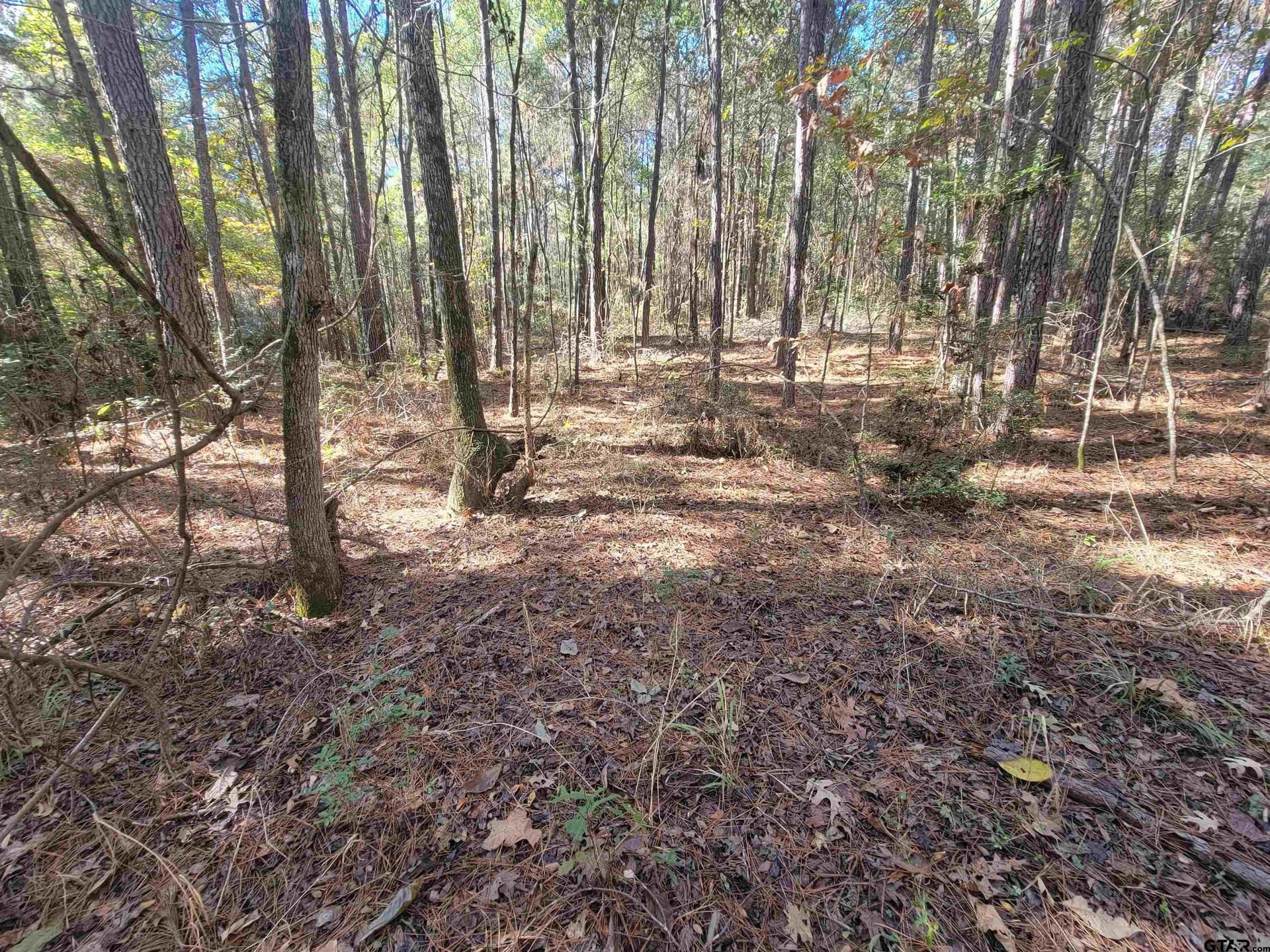 10.3 acres in Cherokee County - photo 3