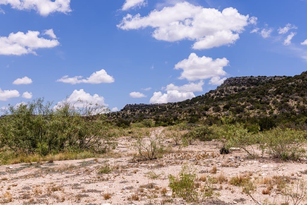 851 acres in Crockett County - photo 7