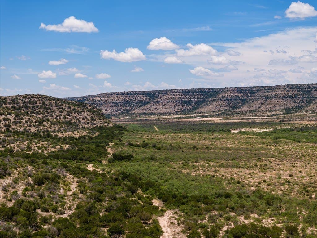 851 acres in Crockett County - photo 9