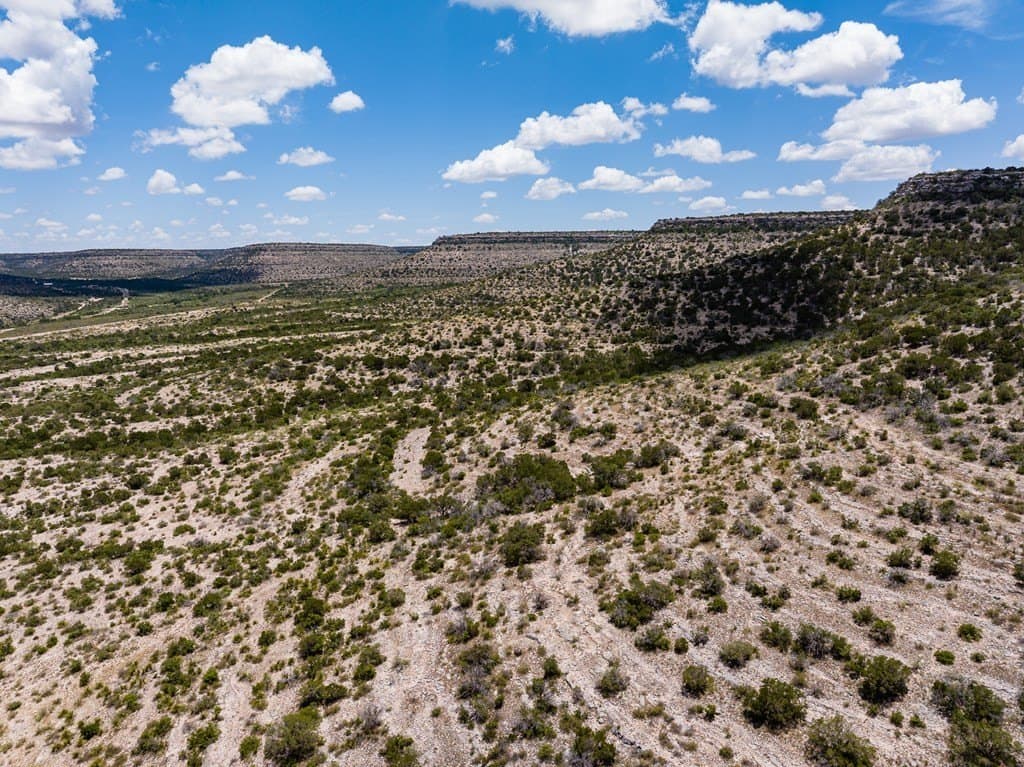 851 acres in Crockett County - photo 12