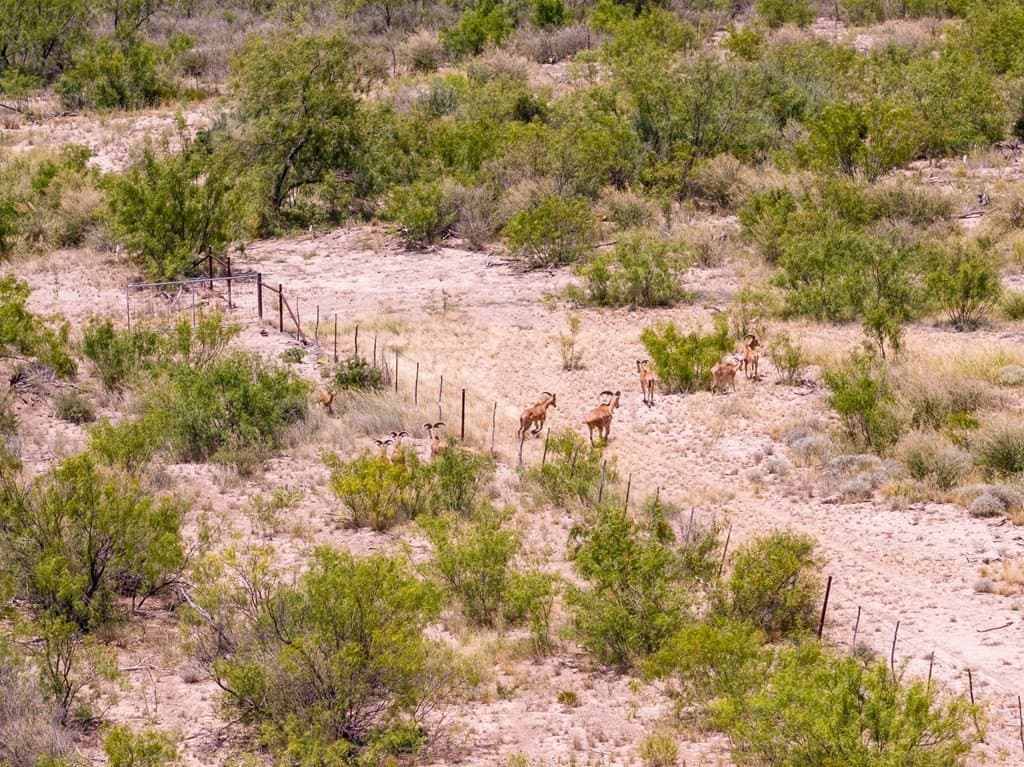 851 acres in Crockett County - photo 17