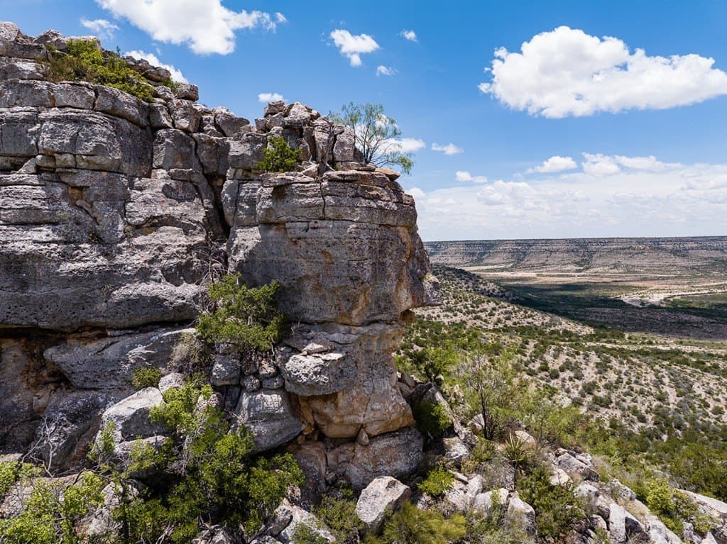 851 acres in Crockett County - photo 14