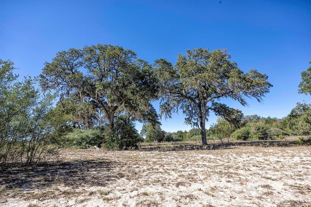 81.92 acres in Lavaca County - photo 11