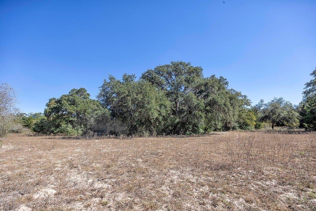 81.92 acres in Lavaca County - photo 16