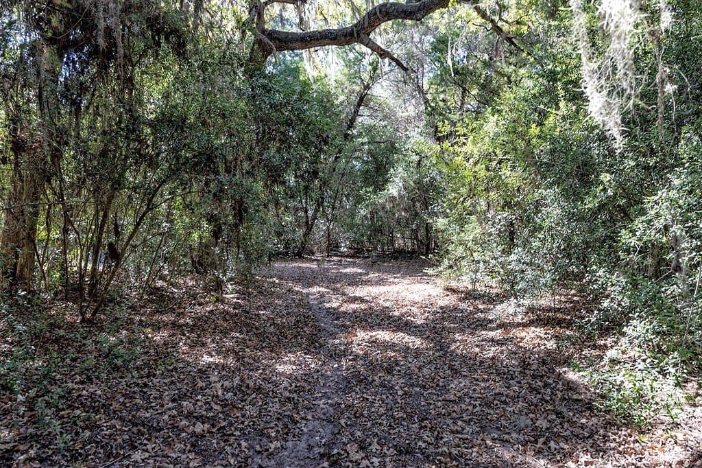 81.92 acres in Lavaca County - photo 4