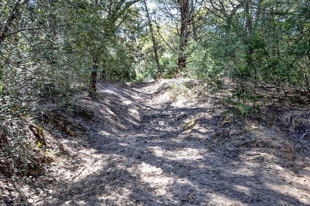 81.92 acres in Lavaca County - photo 7