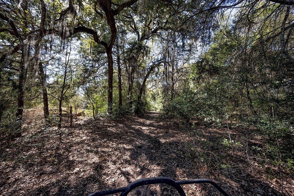 81.92 acres in Lavaca County - photo 6