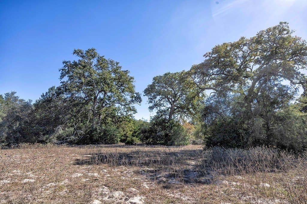 81.92 acres in Lavaca County - photo 14