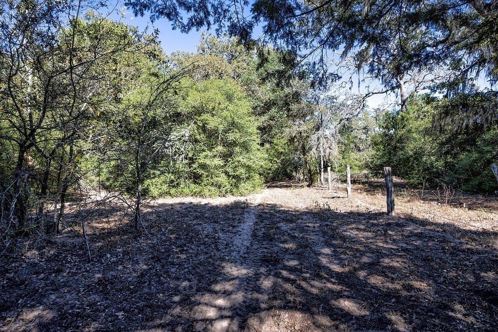 81.92 acres in Lavaca County - photo 5