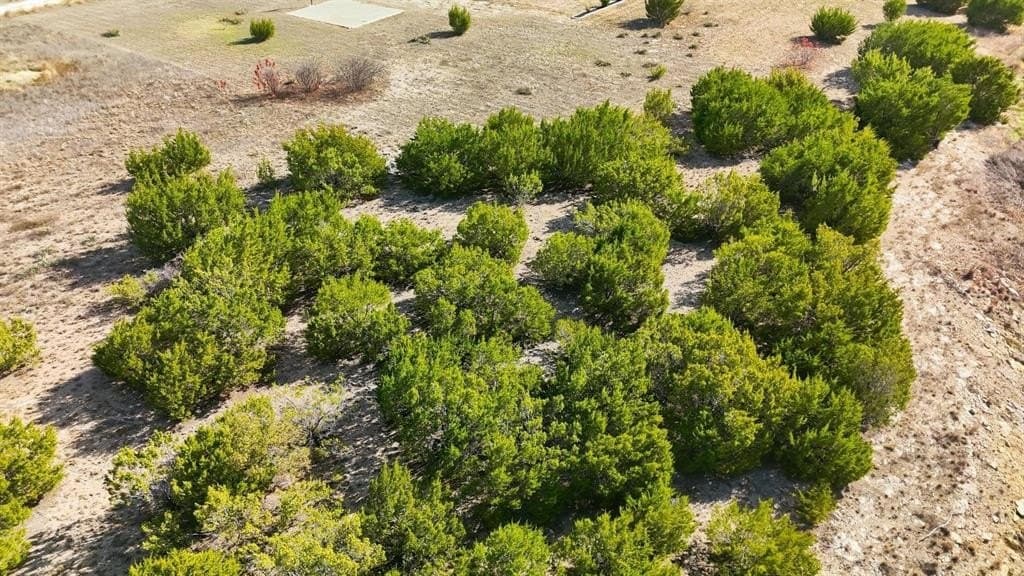 1.74 acres in Hood County - photo 15