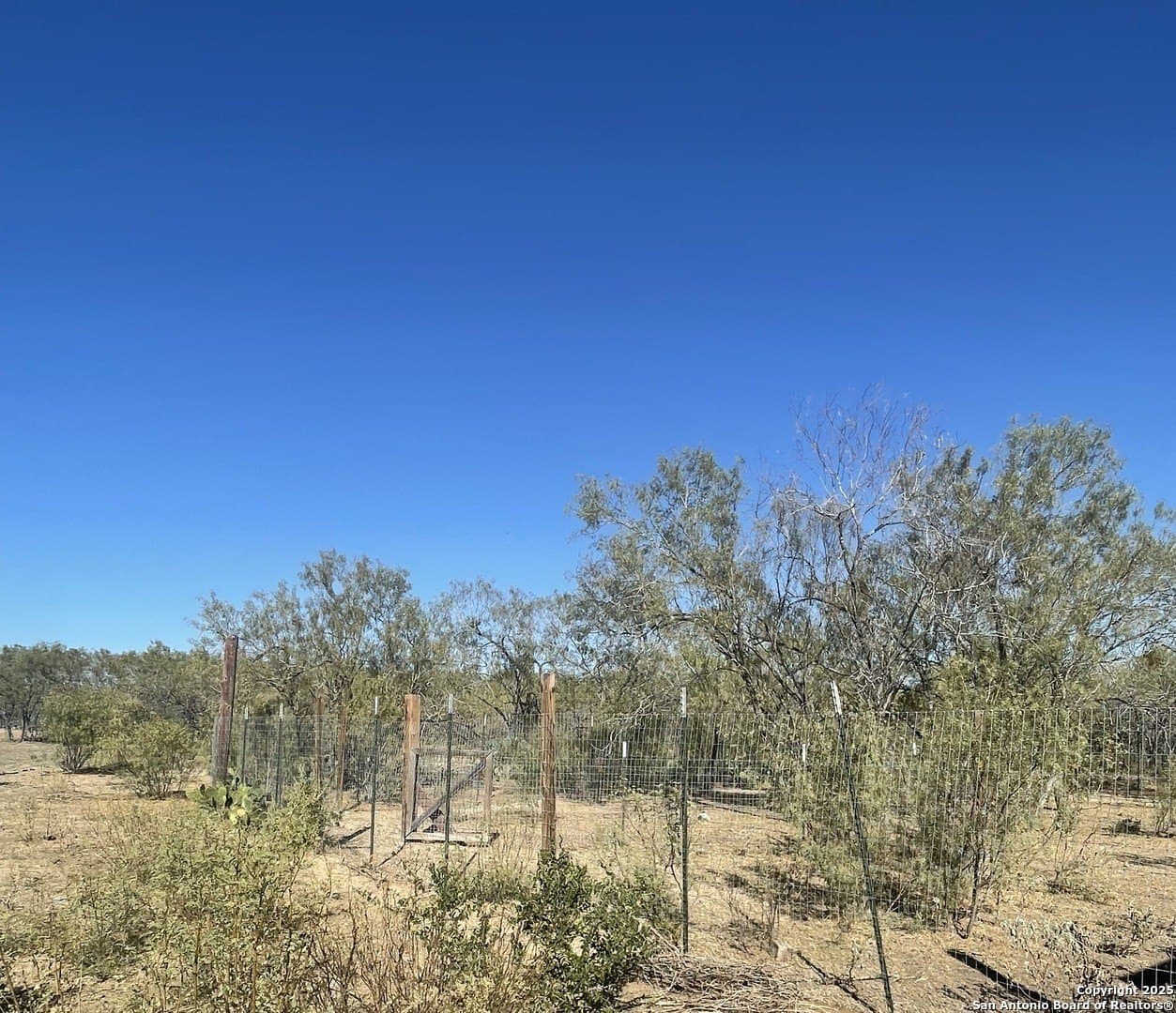 15.7 acres in Bexar County - photo 16