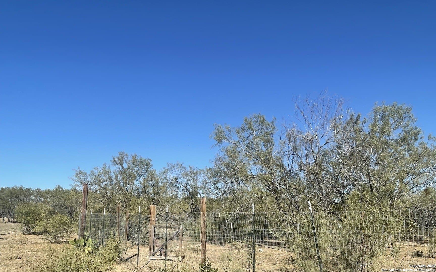 15.7 acres in Bexar County - photo 8