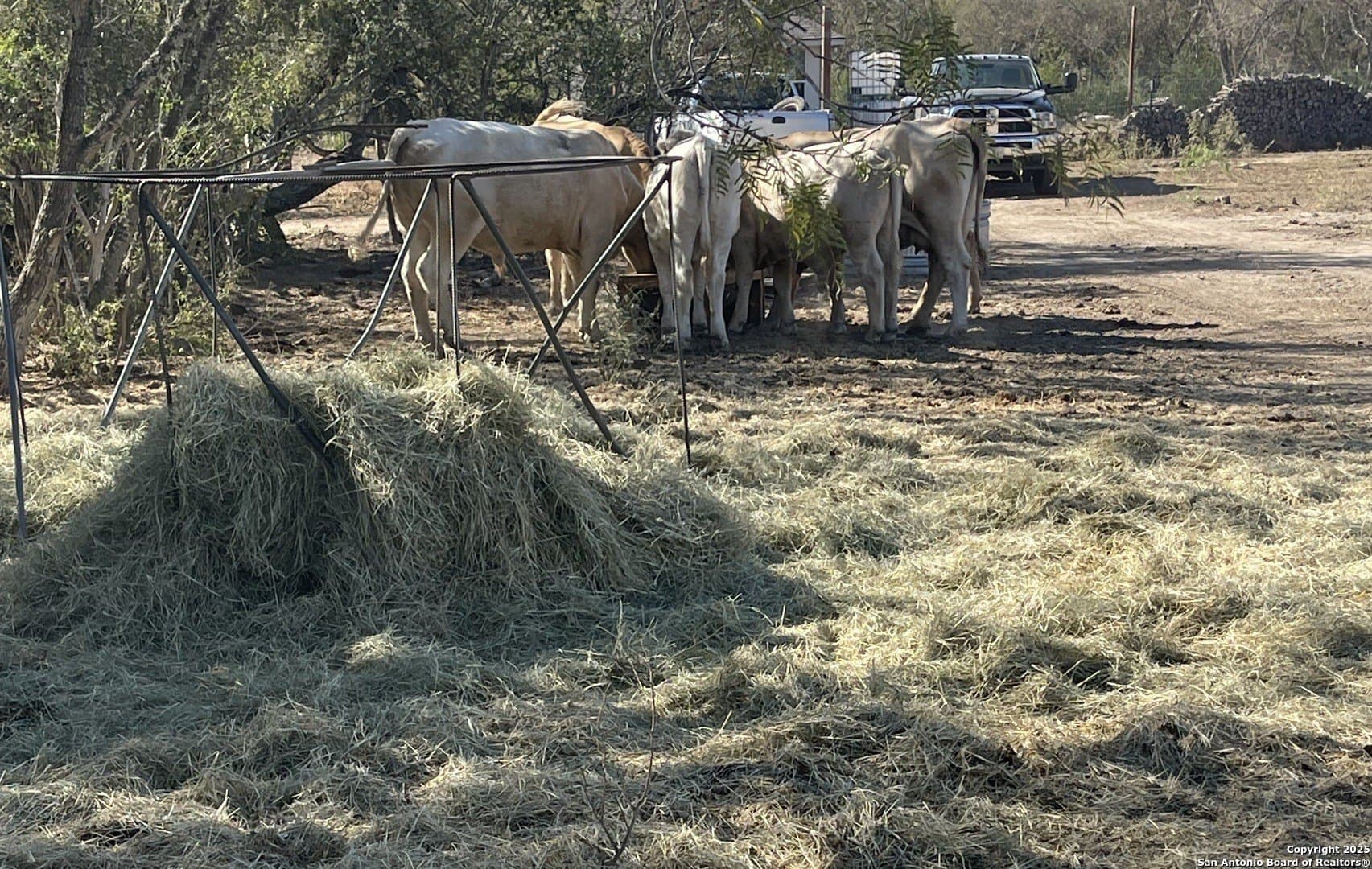15.7 acres in Bexar County - photo 9