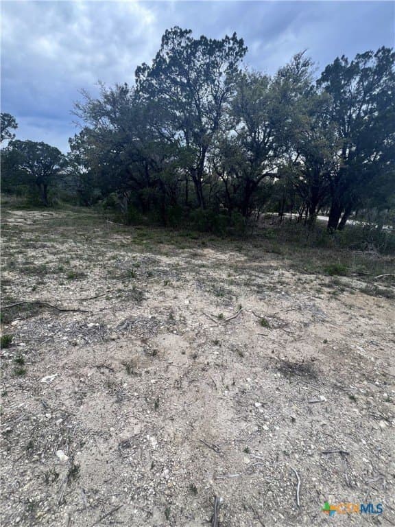 15.41 acres in Travis County - photo 2