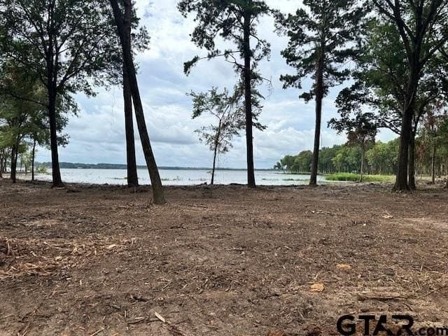 0.86 acres in Anderson County - photo 14