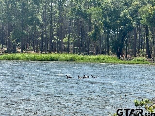 0.86 acres in Anderson County - photo 15