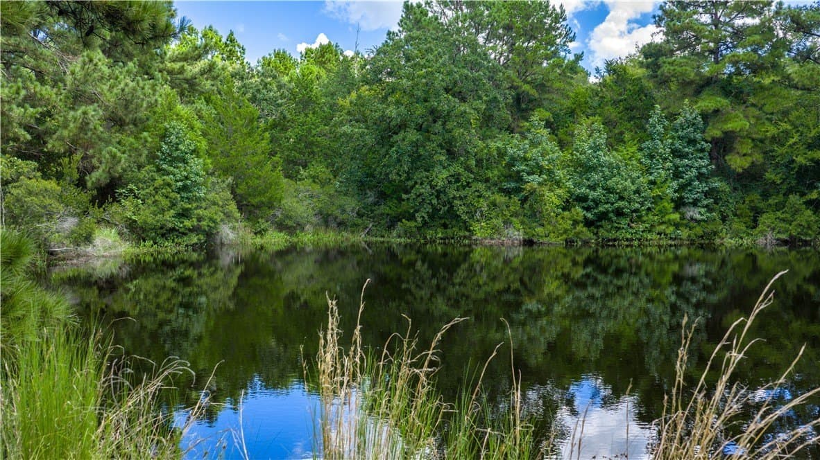 49.89 acres in Madison County - photo 29