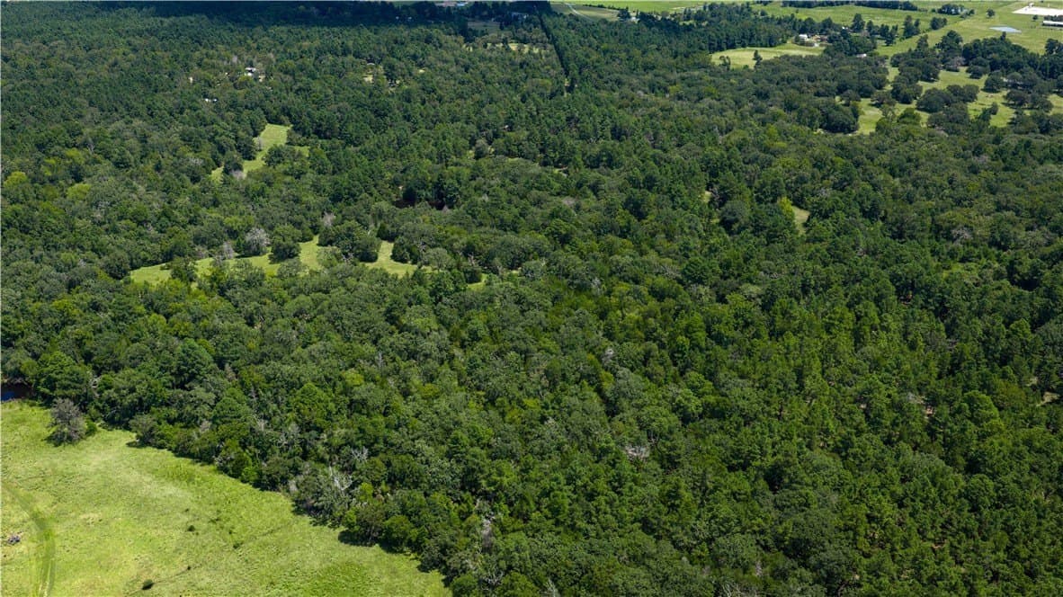 49.89 acres in Madison County - photo 15