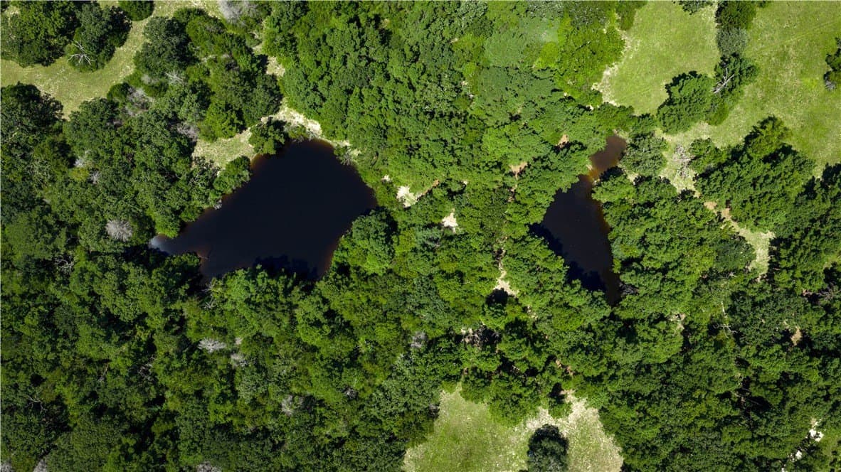 49.89 acres in Madison County - photo 16