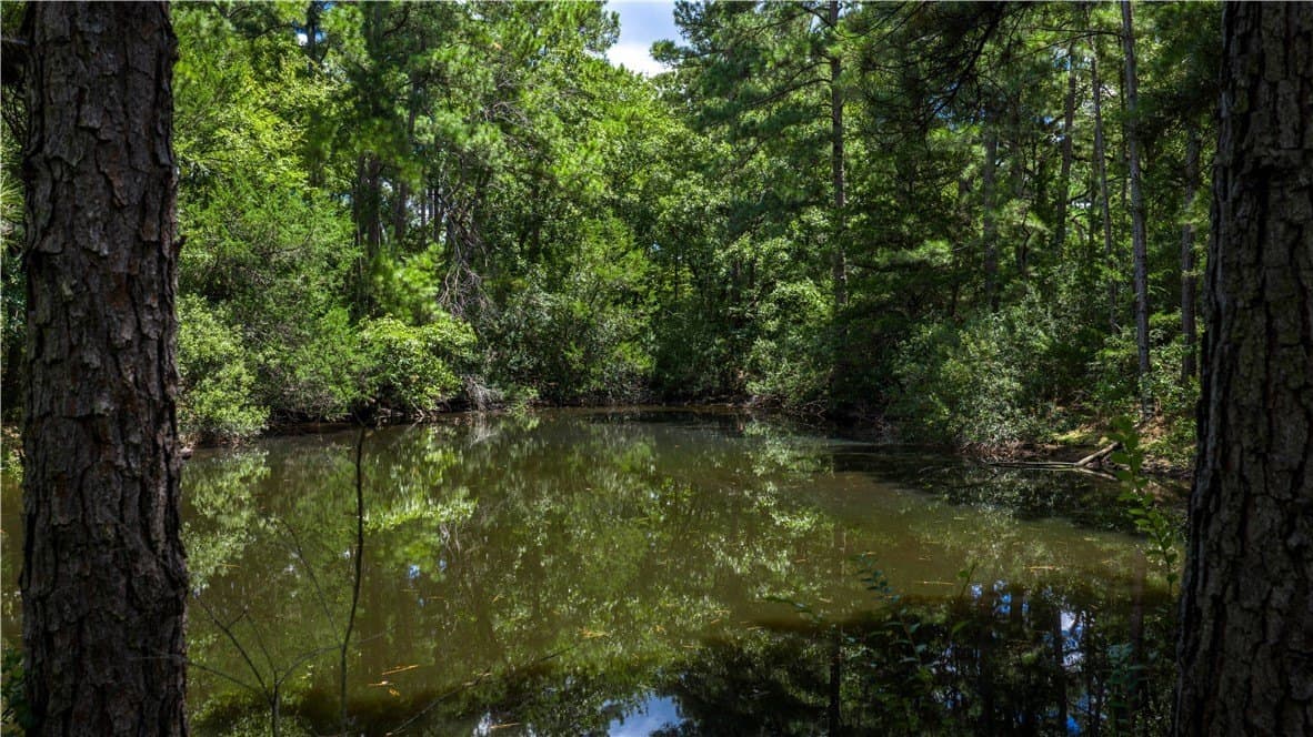 49.89 acres in Madison County - photo 22