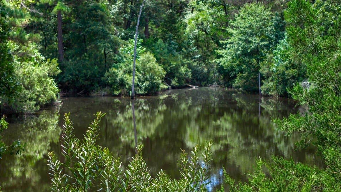 49.89 acres in Madison County - photo 34