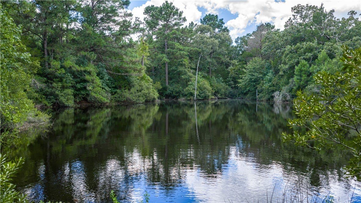 49.89 acres in Madison County - photo 30