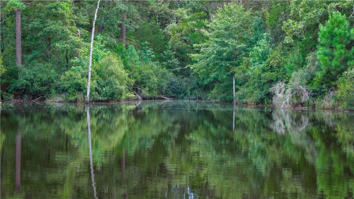 49.89 acres in Madison County - photo 32