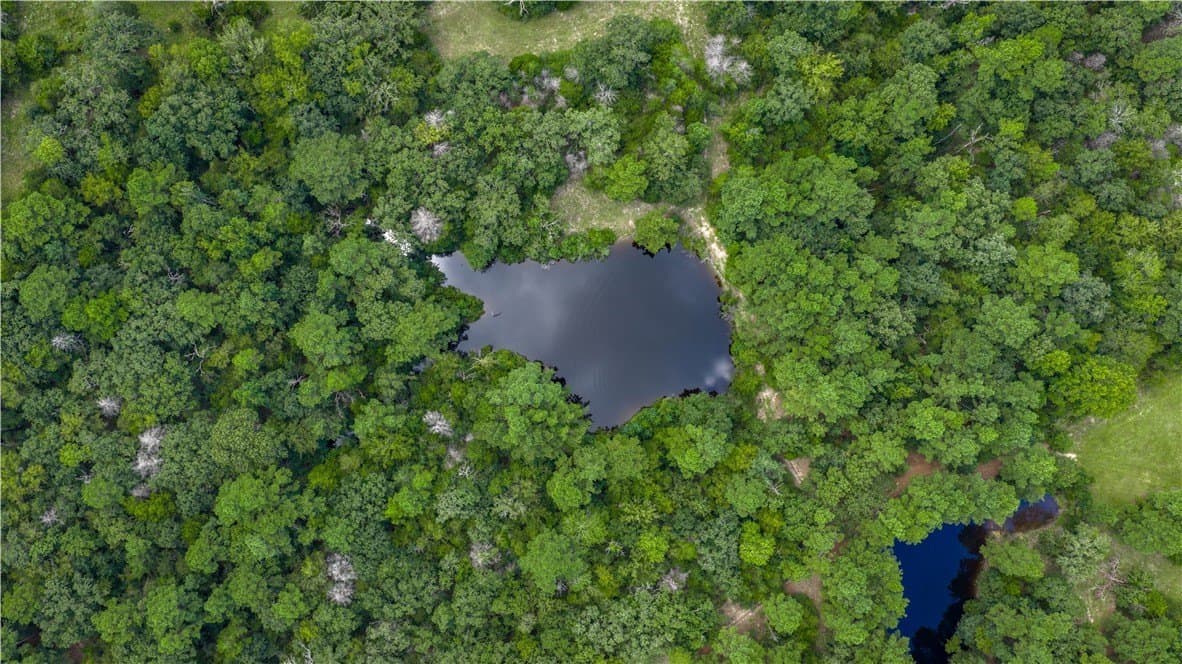 49.89 acres in Madison County - photo 33
