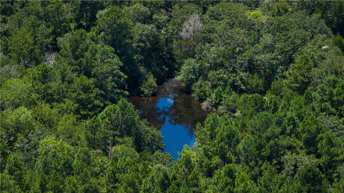 49.89 acres in Madison County - photo 17