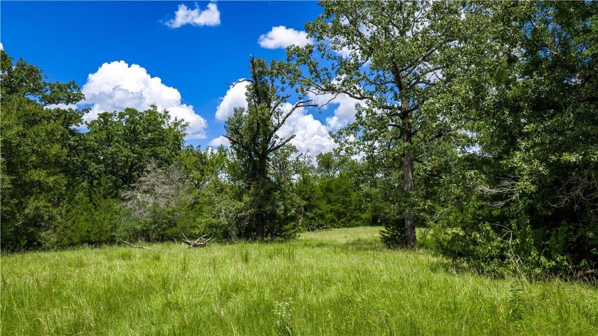 49.89 acres in Madison County - photo 36