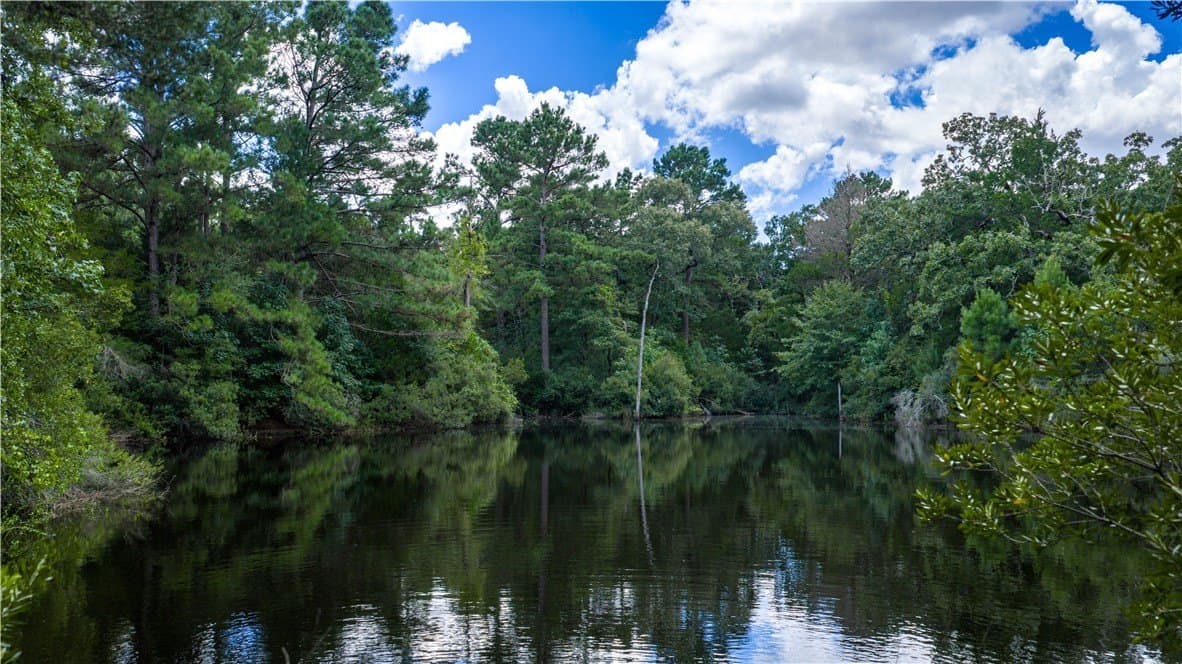 49.89 acres in Madison County - photo 31
