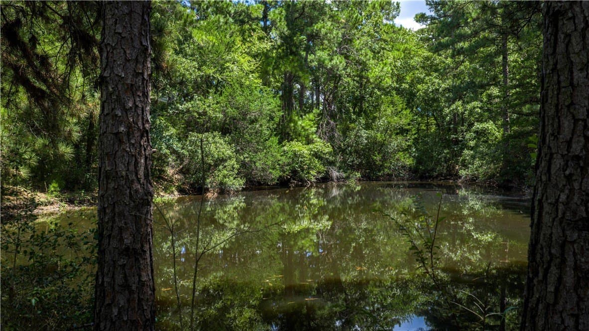 49.89 acres in Madison County - photo 21