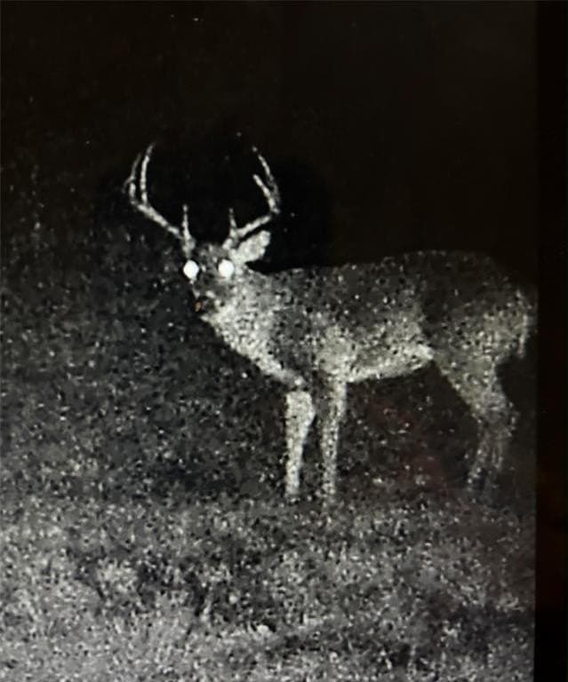 14.21 acres in Grayson County - photo 33