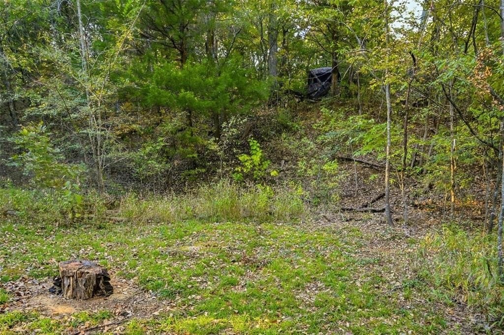 14.21 acres in Grayson County - photo 28