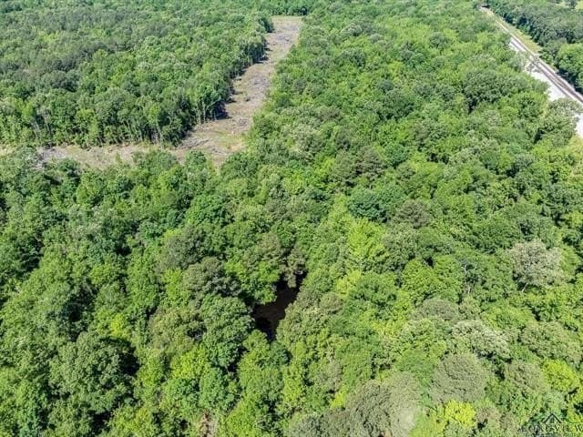 50.18 acres in Harrison County - photo 17