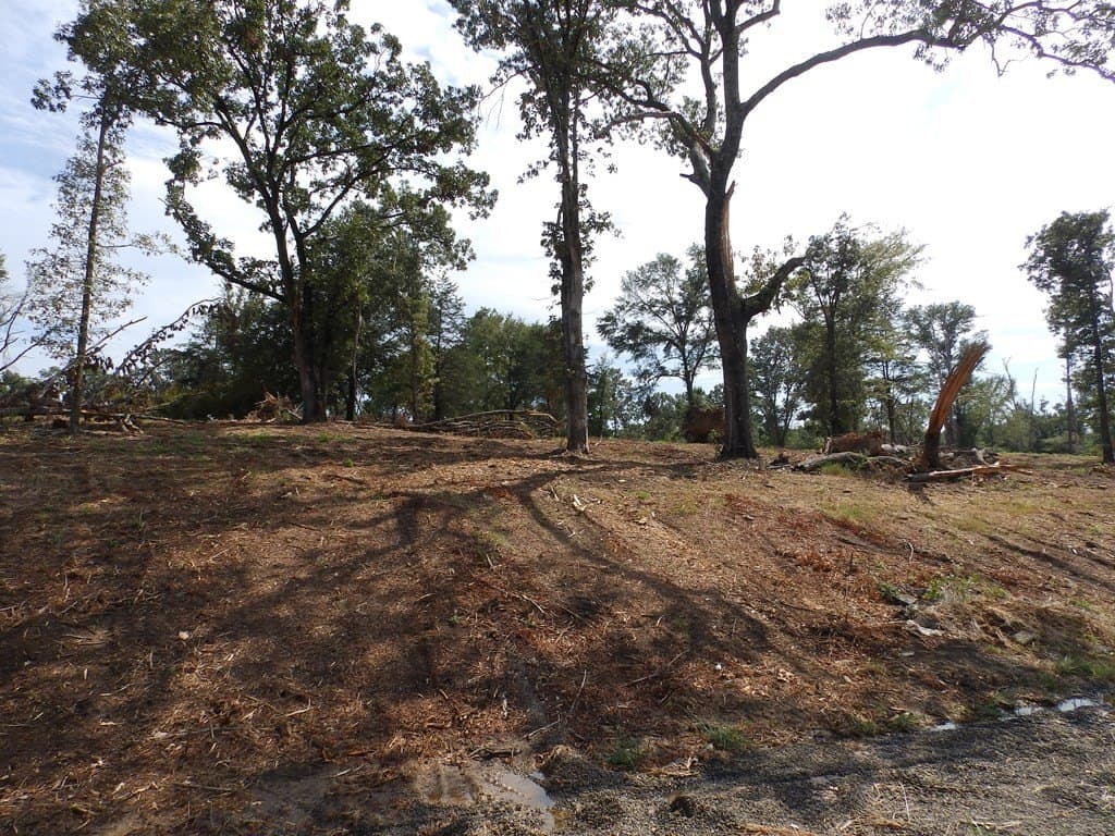 13 acres in Smith County - photo 20