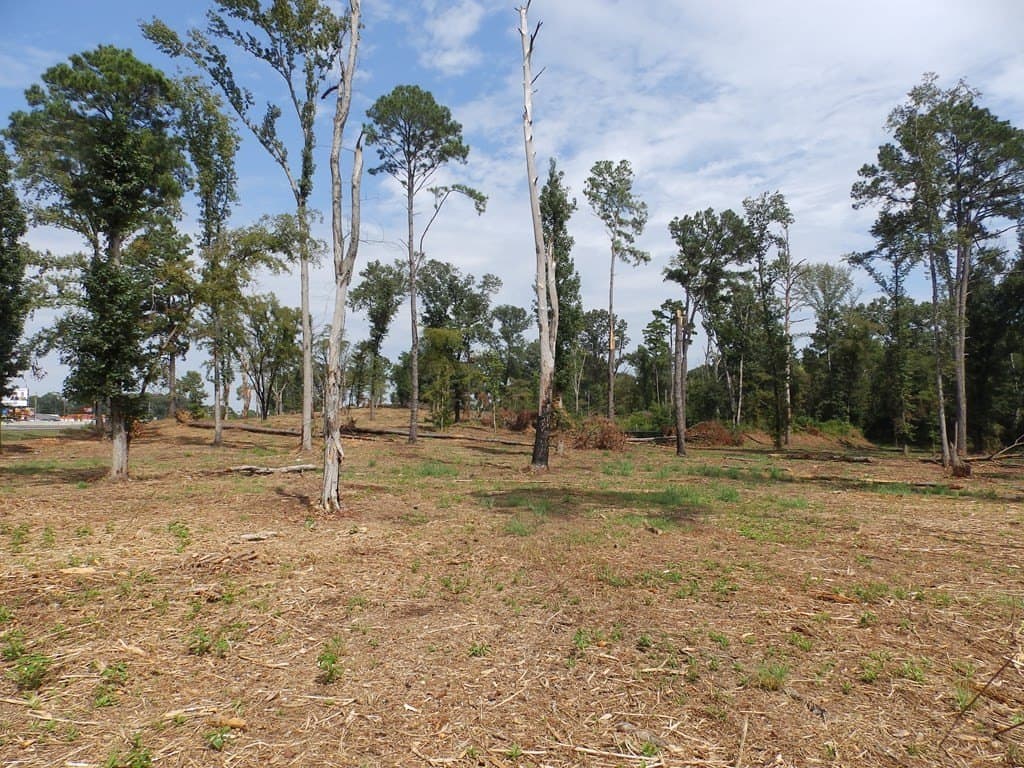 13 acres in Smith County - photo 13