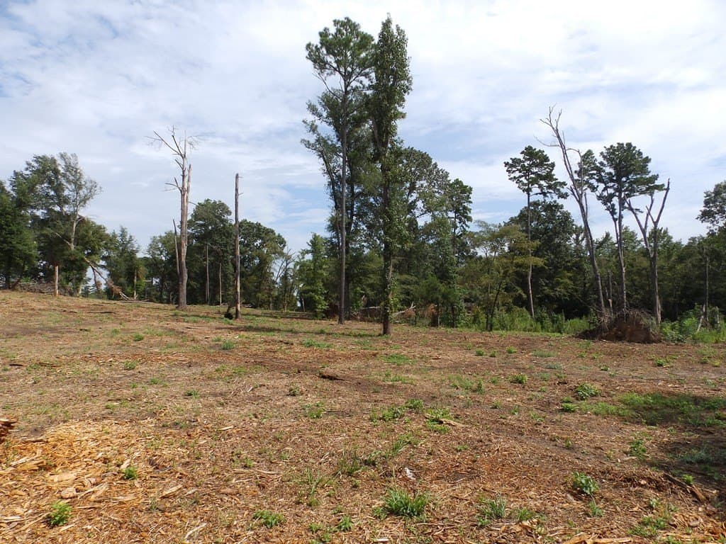 13 acres in Smith County - photo 10