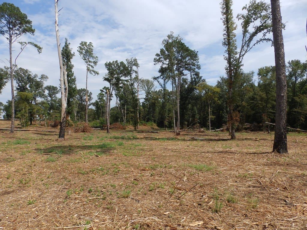 13 acres in Smith County - photo 14