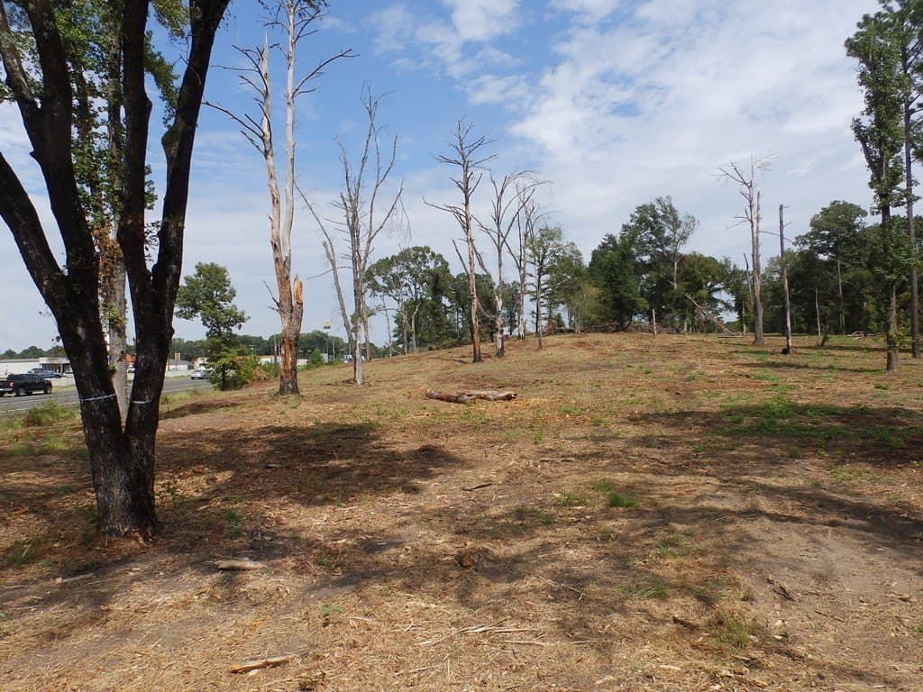 13 acres in Smith County - photo 11