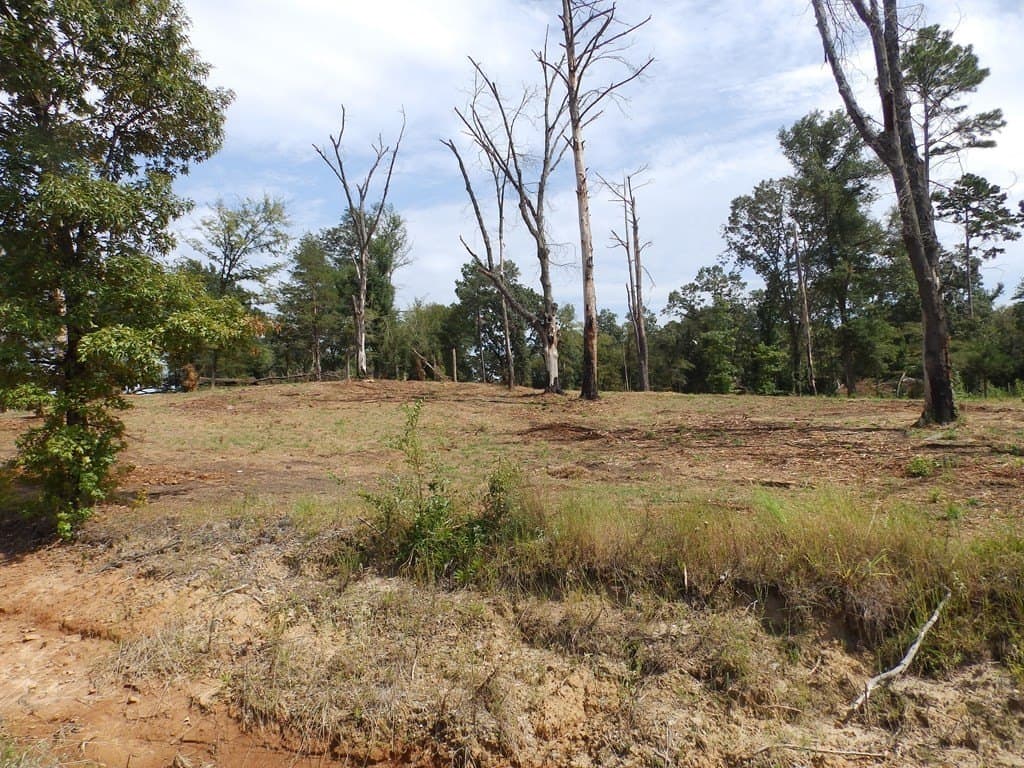 13 acres in Smith County - photo 17