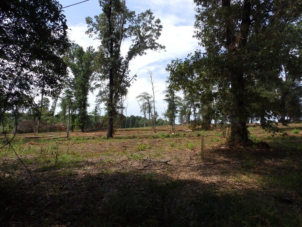 13 acres in Smith County - photo 16