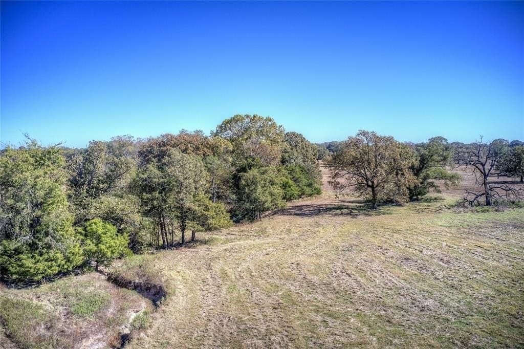 17.57 acres in Wood County - photo 6