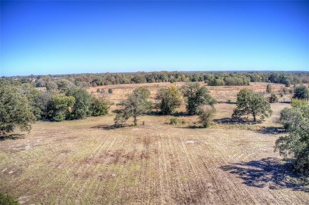 17.57 acres in Wood County - photo 10