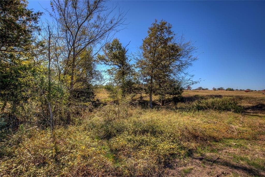 17.57 acres in Wood County - photo 4
