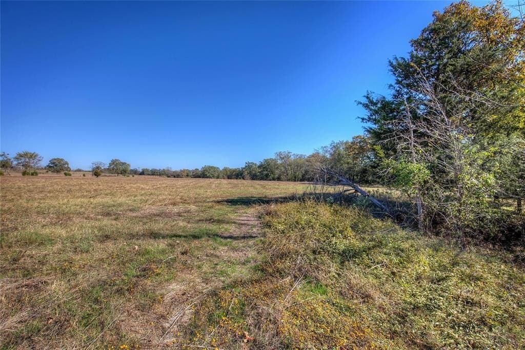 17.57 acres in Wood County - photo 5