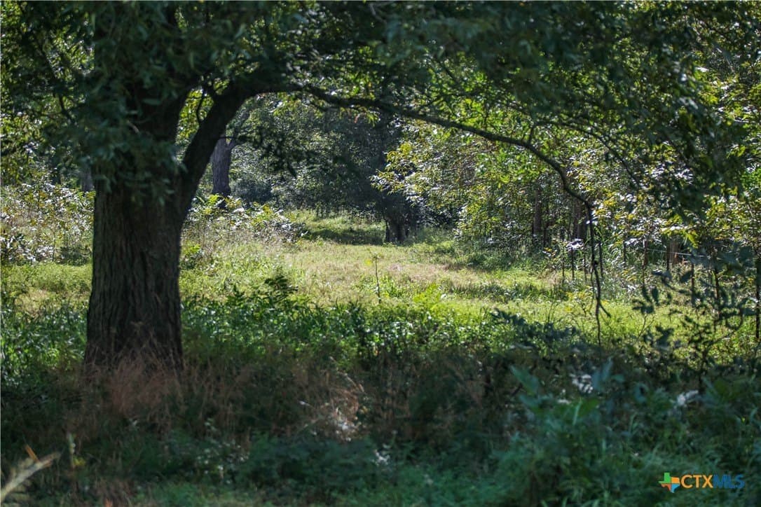 140 acres in DeWitt County - photo 47