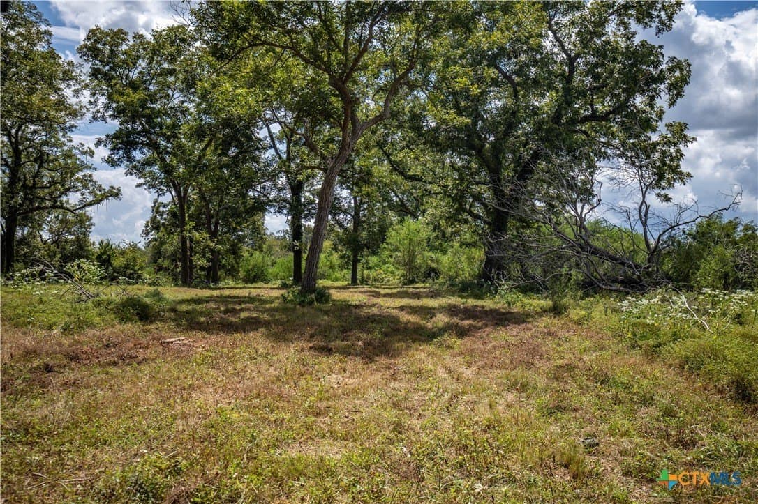 140 acres in DeWitt County - photo 48