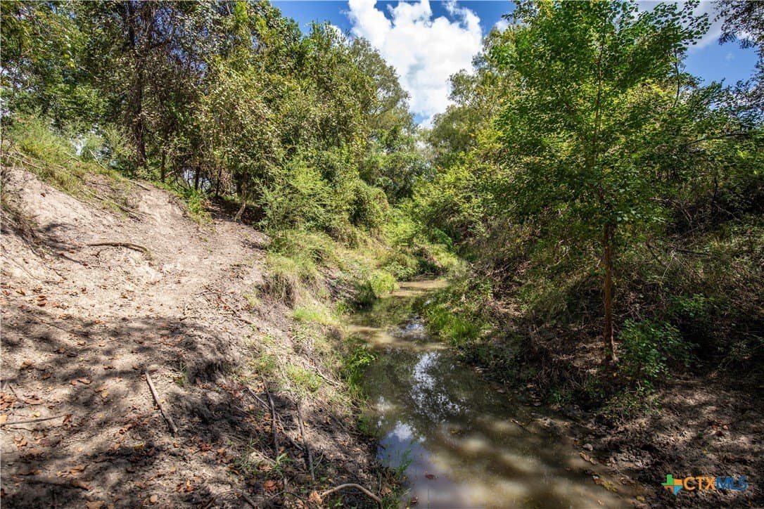 140 acres in DeWitt County - photo 22