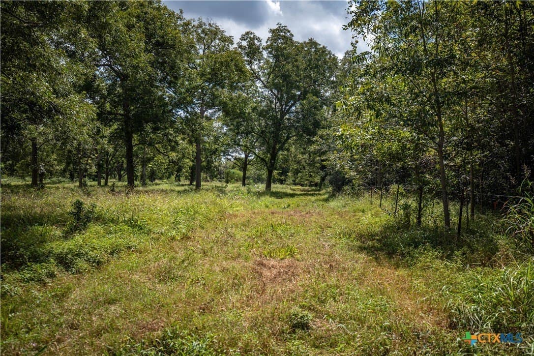 140 acres in DeWitt County - photo 43